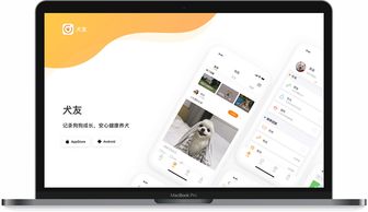 指尖上的藝術(shù) 探索網(wǎng)頁與網(wǎng)站設(shè)計作品小集